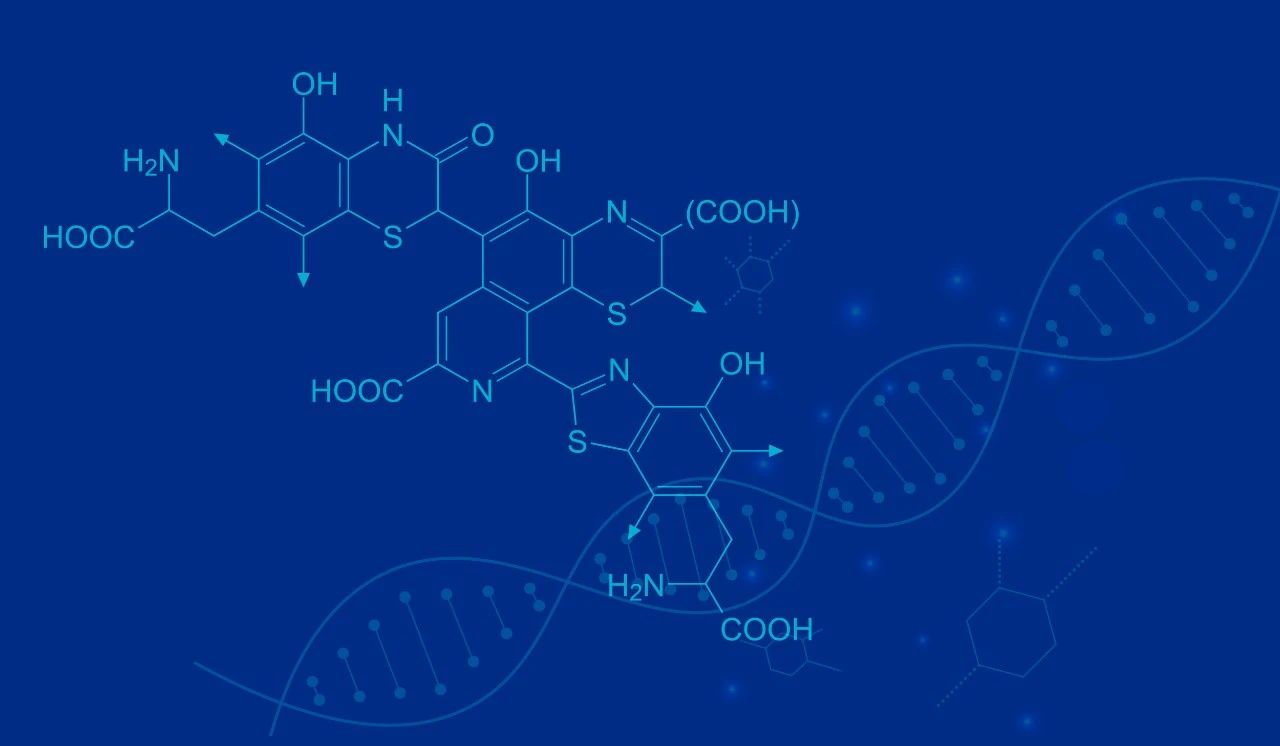 微信圖片_20230912093340_1.jpg 微信圖片_20230912093340_1.jpg